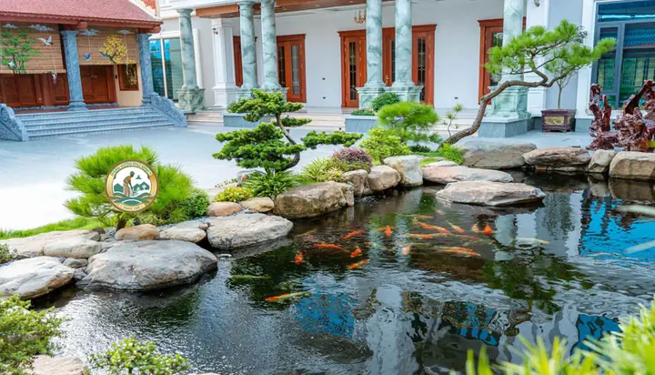 Cá Cảnh Sóc Sơn Cá Cảnh Sóc Sơn