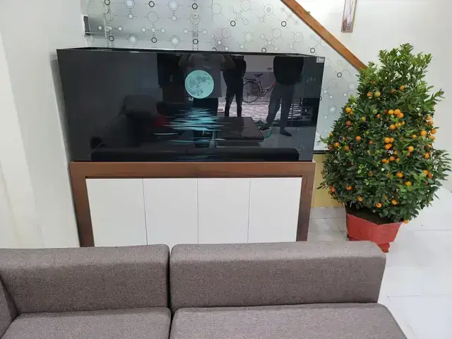 Cá Cảnh Thái Hà