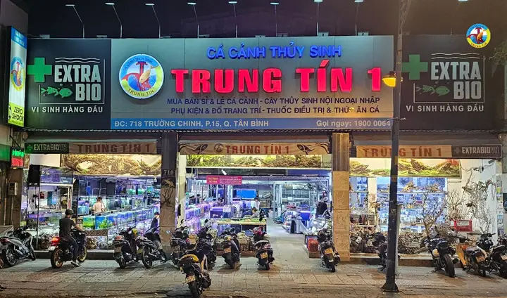 Cá Cảnh Trung Tín 2 Cá Cảnh Trung Tín 2