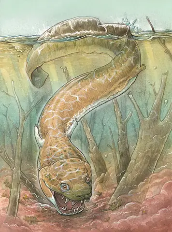 Cá Chạch Khổng Lồ