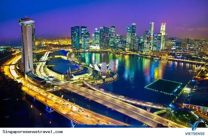 Cá Chép Hoá Rồng Singapore
