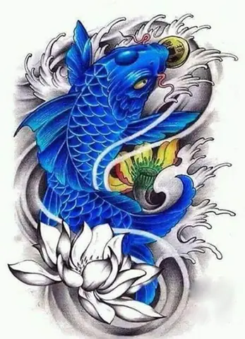 Cá Chép Màu Xanh Dương Cá Chép Màu Xanh Dương