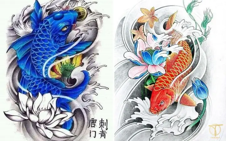Cá Chép Màu Xanh Cá Chép Màu Xanh