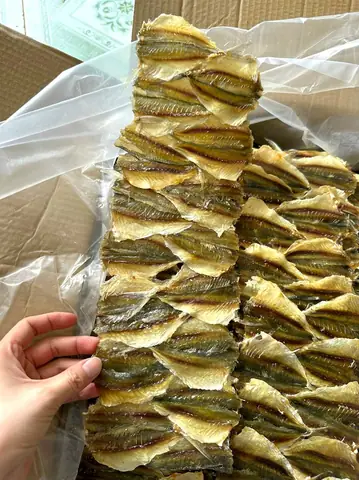 Cá Chỉ Vàng Có Mấy Loại Cá Chỉ Vàng Có Mấy Loại
