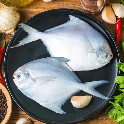 Cá Chim Én Biển
