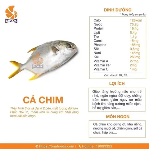 Cá Chim Trắng Giá