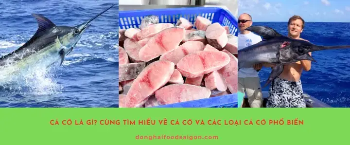 Cá Cờ Nước Mặn