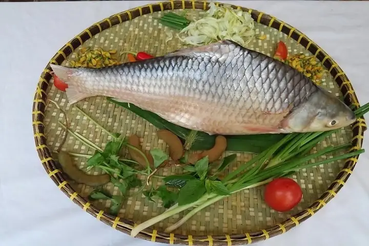 Cá Có Xương Chữ Y