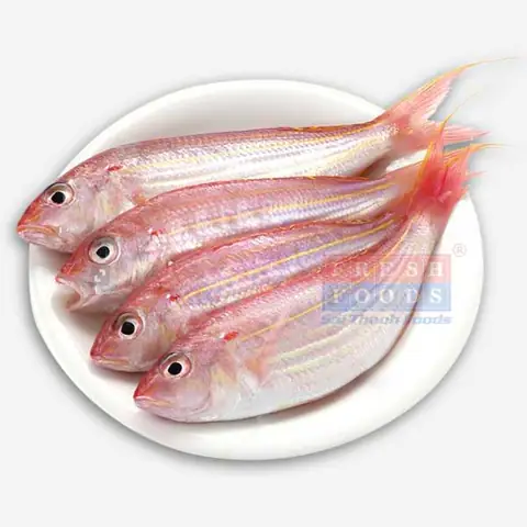 Cá Đổng Giá Bao Nhiêu