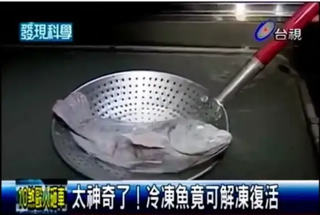 Cá Đông Lạnh Sống Lại Cá Đông Lạnh Sống Lại
