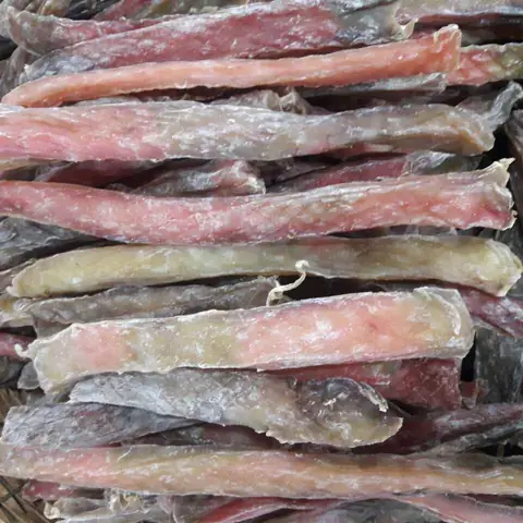 Cá Đường Là Gì Cá Đường Là Gì