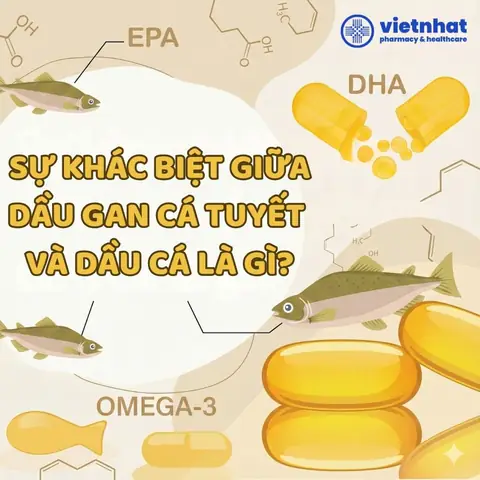 Cá Gì Gan Nhất