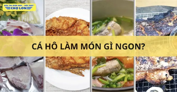 Cá Hô Ăn Thức Ăn Gì
