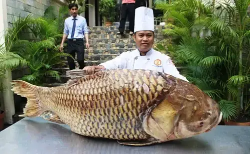 Cá Hô Biển Hồ