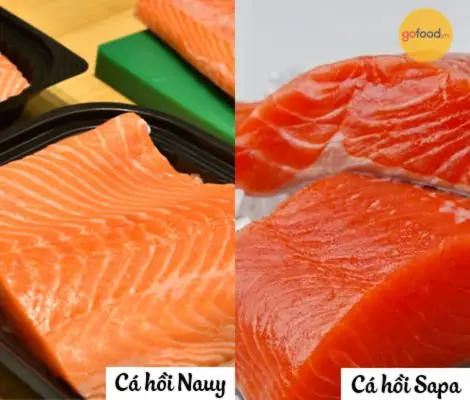 Cá Hồi Nauy Sống Ở Đâu