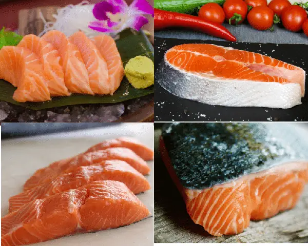 Cá Hồi Úc Và Cá Hồi Nauy