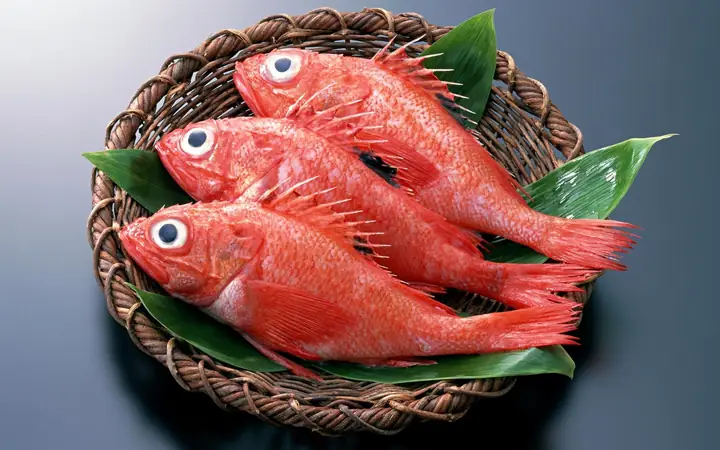 Cá Hồng Nhật Bản