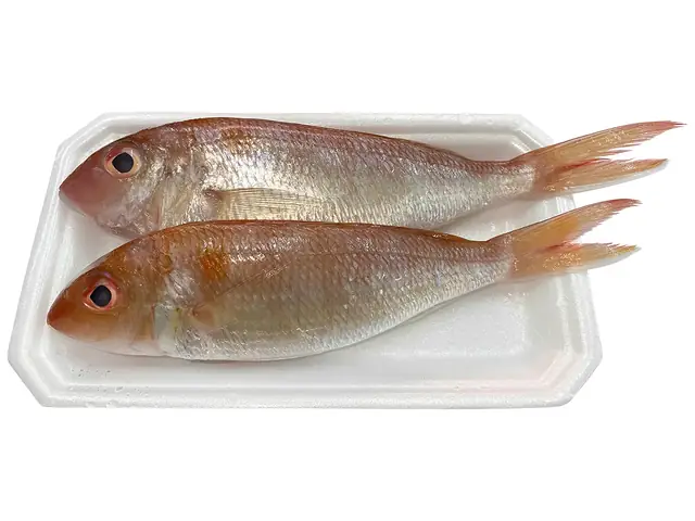 Cá Hường Giá Bao Nhiêu