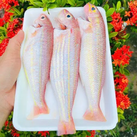 Cá Hường Là Cá Nước Ngọt Hay Nước Mặn