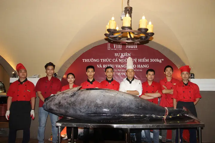 Cá Khổng Lồ Đại Dương