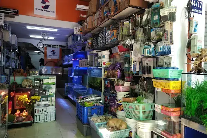 Cá Kiểng Nguyễn Thông