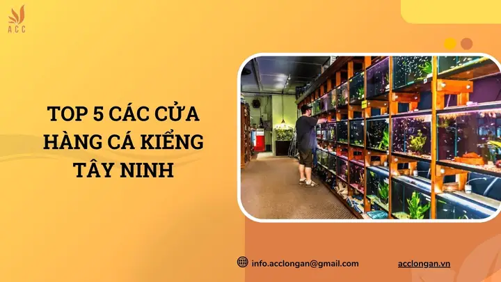 Cá Kiểng Tây Ninh