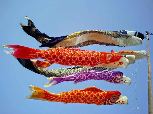 Cá Koi Cờ Nhật
