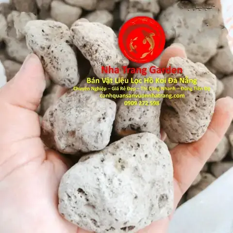 Cá Koi Giá Rẻ Đà Nẵng