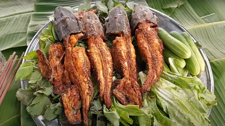 Cá Lau Kiếng Ăn Mồi Gì