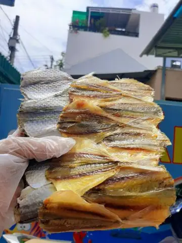 Cá Liệt Chỉ Vàng