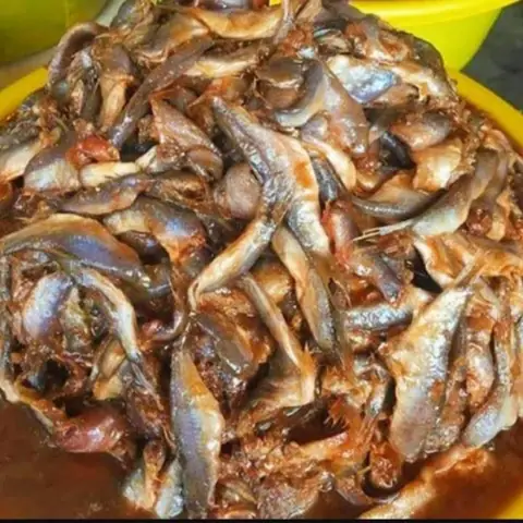 Cá Linh Tiếng Anh Là Gì