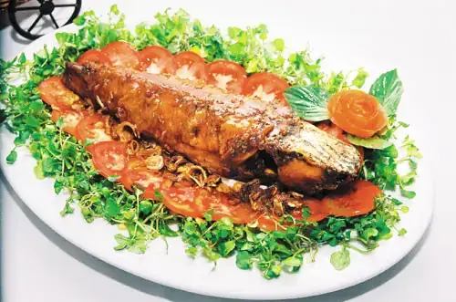 Cá Lóc Ăn Thịt Người Cá Lóc Ăn Thịt Người
