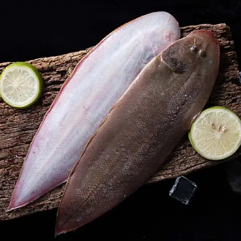 Cá Lưỡi Trâu Sống