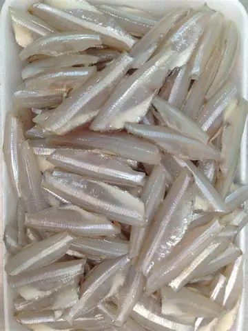 Cá Mai Tiếng Anh Là Gì
