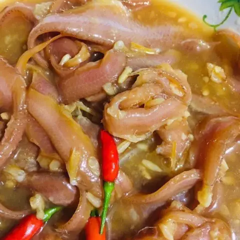 Cá Mào Gà Đỏ
