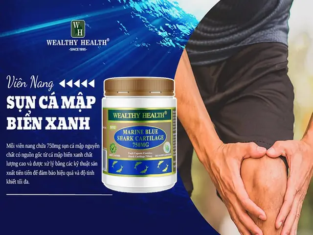 Cá Mập Biển Xanh