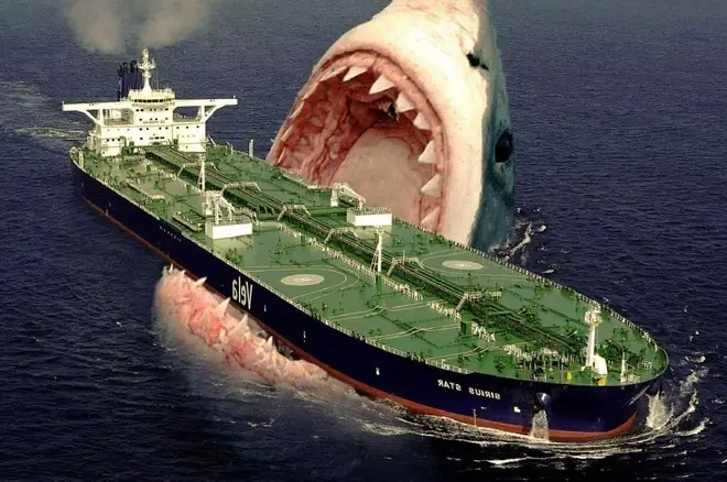 Cá Mập Megalodon Còn Sống