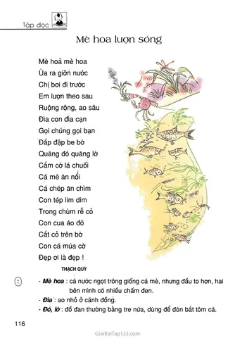Cá Mè Ăn Nổi Cá Chép Ăn Chìm