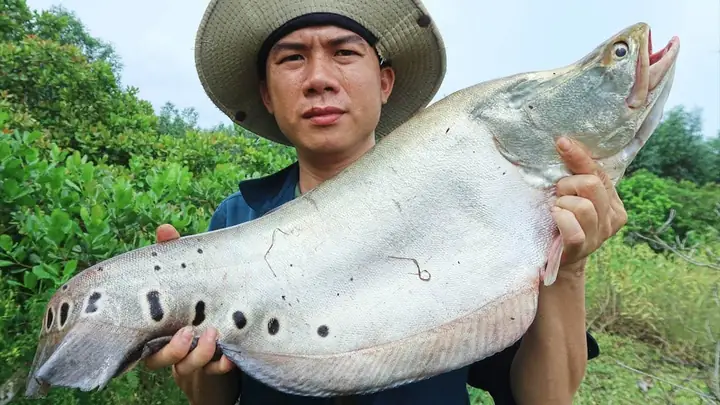 Cá Nàng Hai Ăn Gì