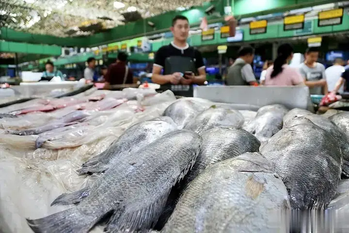 Cá Nào Rẻ Nhất