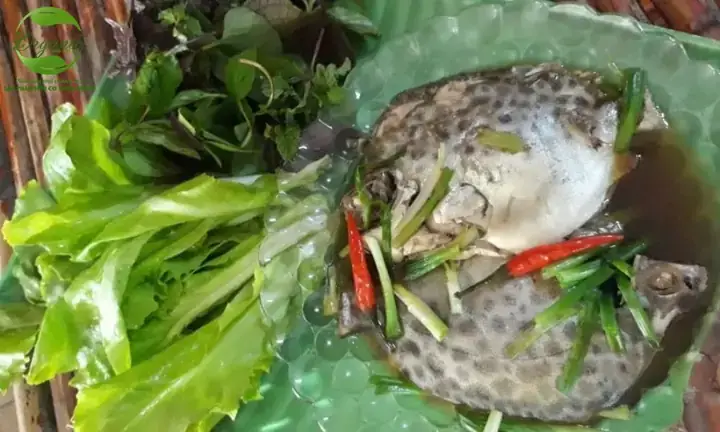 Cá Nâu Sống Ở Đâu