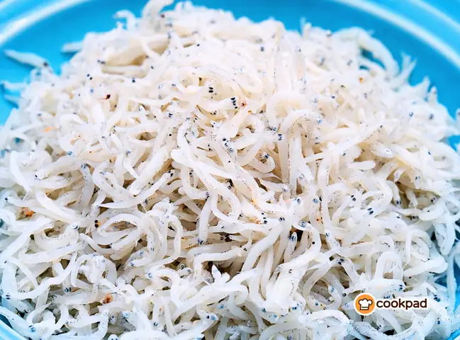 Cá Ngần Là Cá Gì