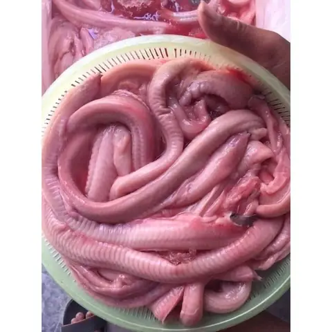 Cá Ninja Nha Trang