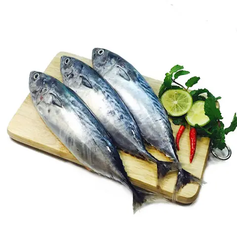 Cá Ồ Phú Yên