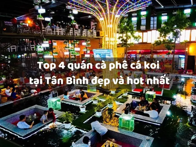 Cà Phê Cá Koi Tân Bình