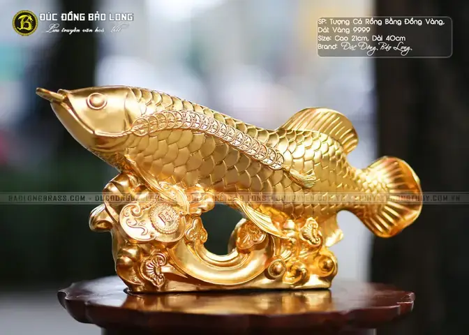 Cá Rồng Cao Quý