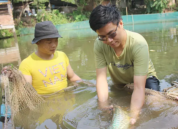 Cá Rồng Đồng Nai