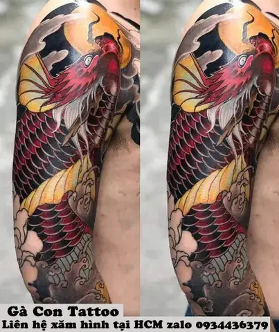 Cá Rồng Fully Red