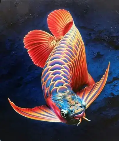 Cá Rồng Size Khủng Cá Rồng Size Khủng