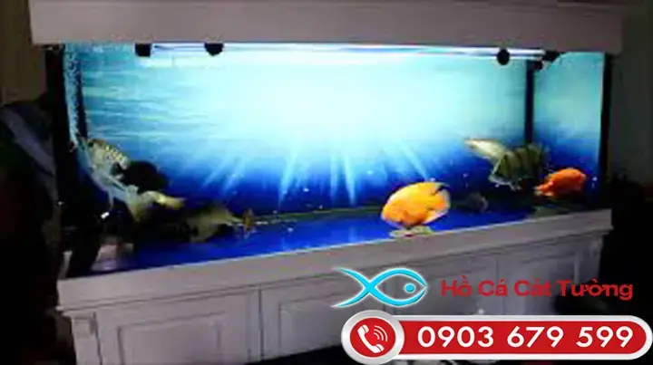 Cá Rồng Sợ Đèn